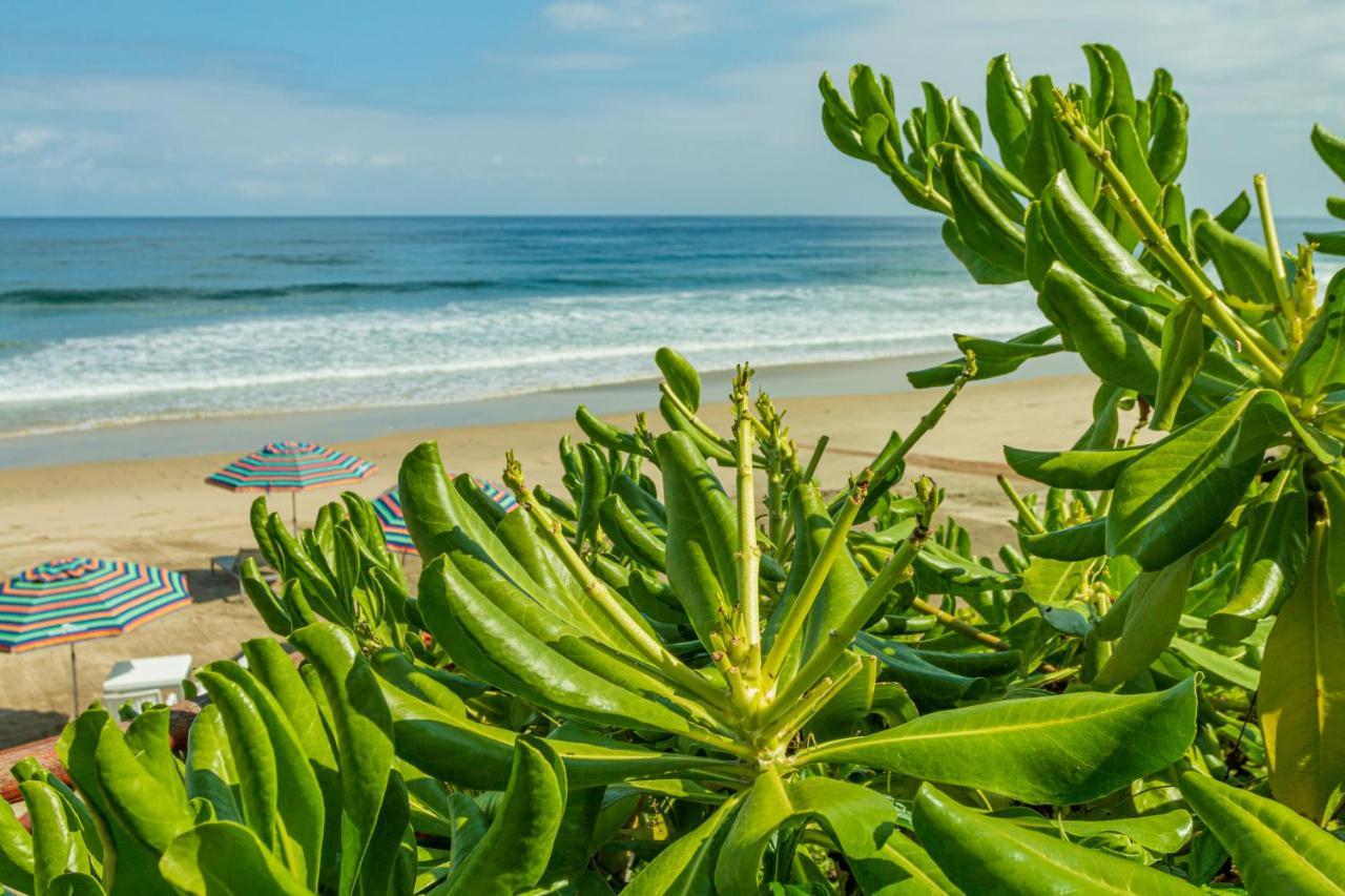 Marsai Hotel Boutique (Adults Only) Punta Mita Bagian luar foto